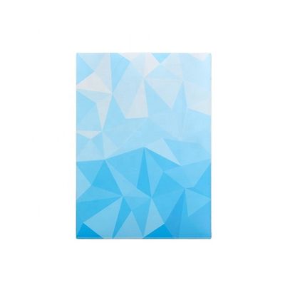 Graphische Druckerei Kartenhüllen 66x91 66x92 für Säurefreien PVC-freien Schutz
